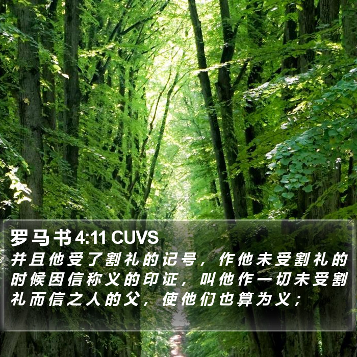 罗 马 书 4:11 CUVS Bible Study