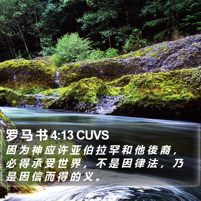 罗 马 书 4:13 CUVS Bible Study