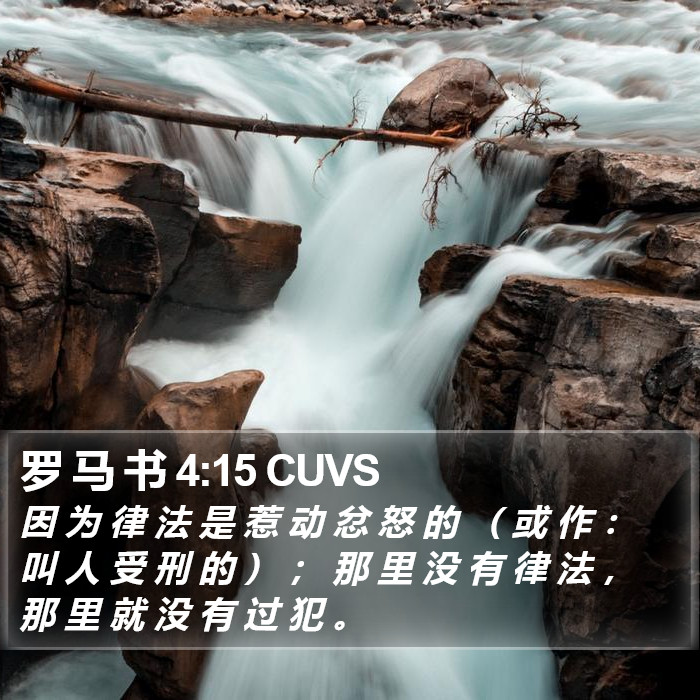 罗 马 书 4:15 CUVS Bible Study