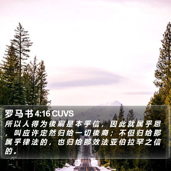 罗 马 书 4:16 CUVS Bible Study