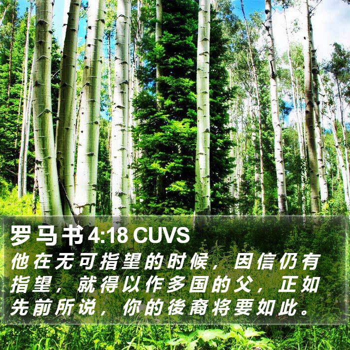 罗 马 书 4:18 CUVS Bible Study