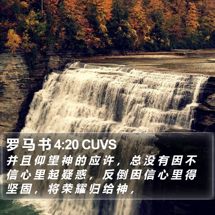 罗 马 书 4:20 CUVS Bible Study