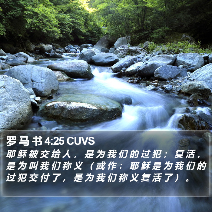 罗 马 书 4:25 CUVS Bible Study