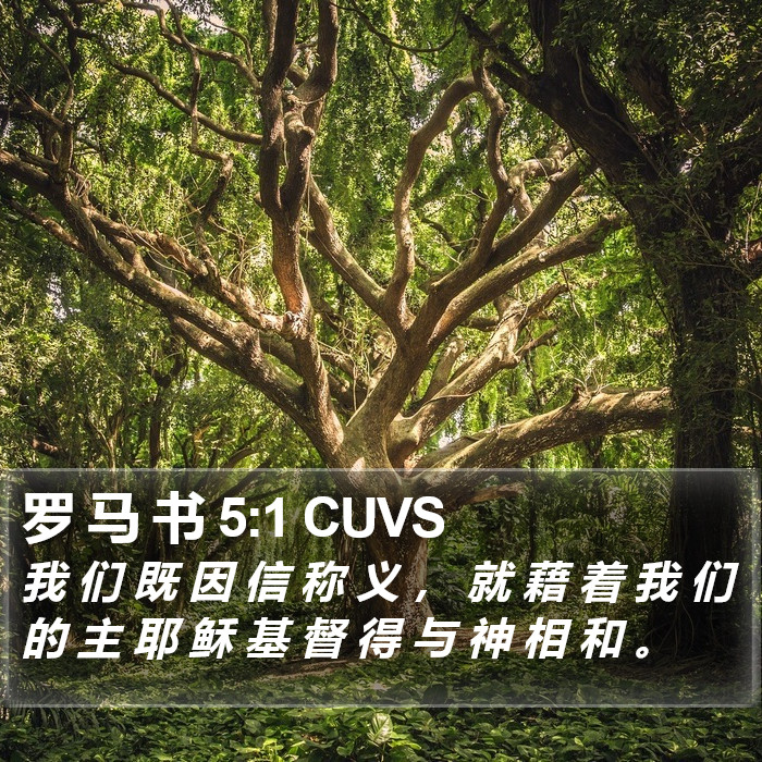 罗 马 书 5:1 CUVS Bible Study