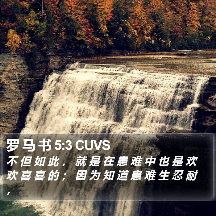 罗 马 书 5:3 CUVS Bible Study