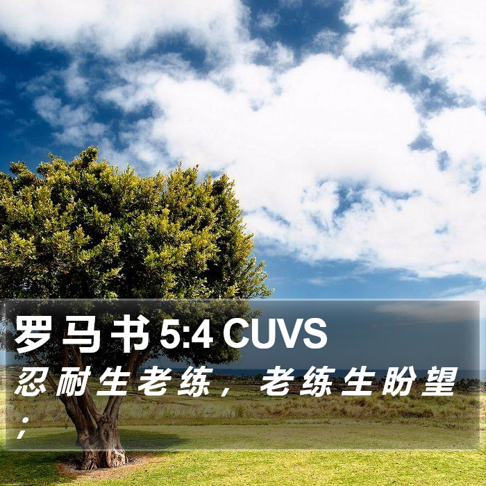 罗 马 书 5:4 CUVS Bible Study