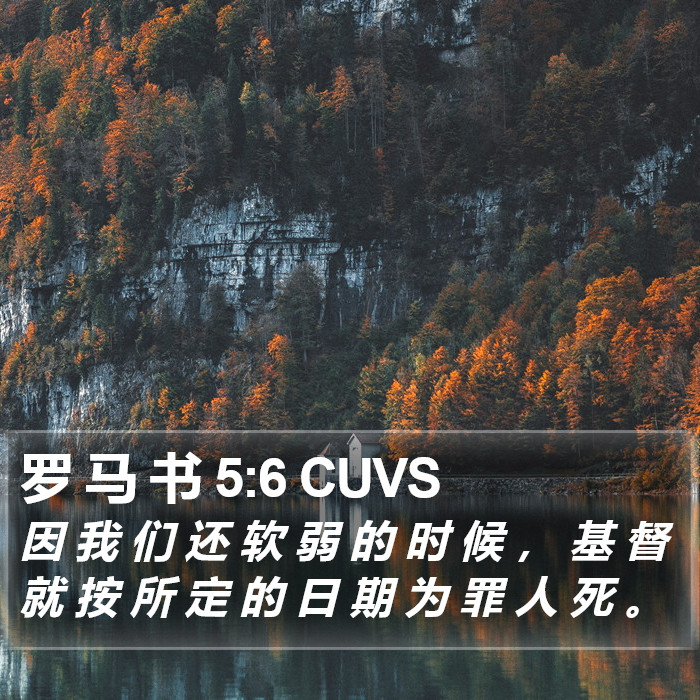 罗 马 书 5:6 CUVS Bible Study