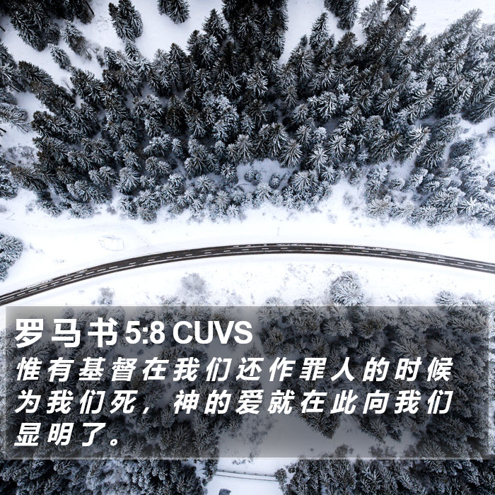 罗 马 书 5:8 CUVS Bible Study