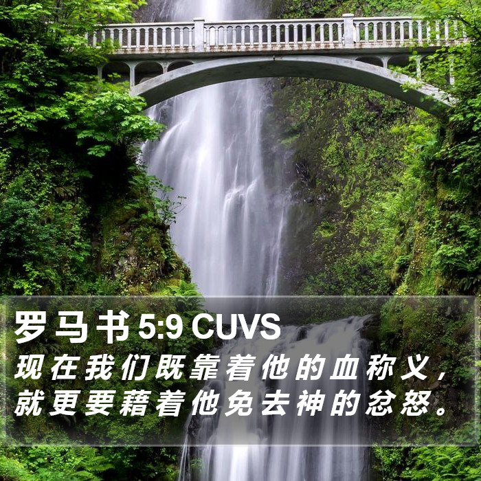 罗 马 书 5:9 CUVS Bible Study