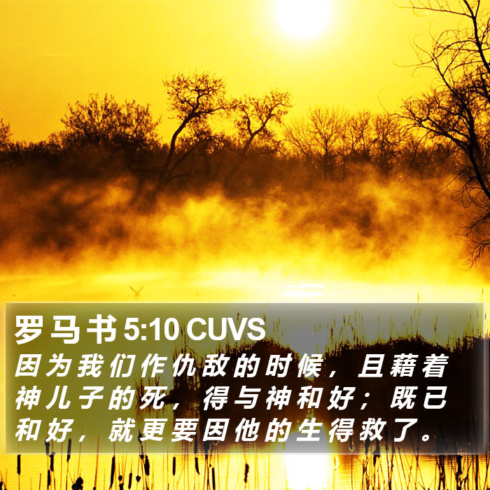 罗 马 书 5:10 CUVS Bible Study