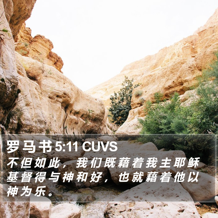 罗 马 书 5:11 CUVS Bible Study