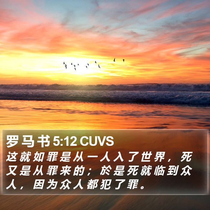 罗 马 书 5:12 CUVS Bible Study