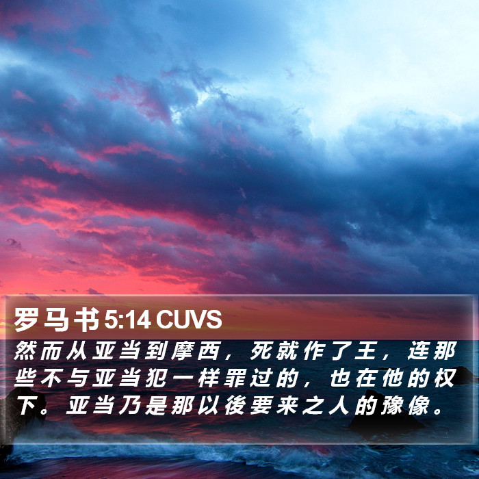 罗 马 书 5:14 CUVS Bible Study