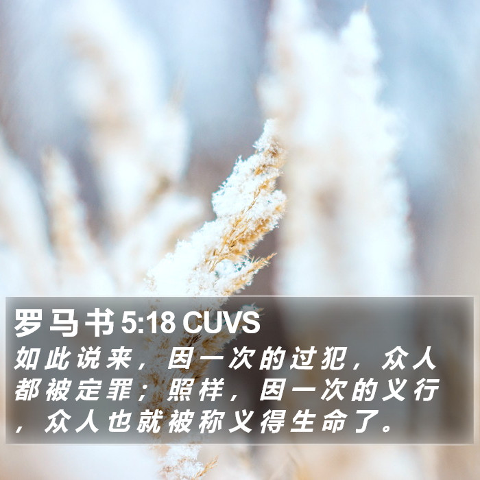 罗 马 书 5:18 CUVS Bible Study