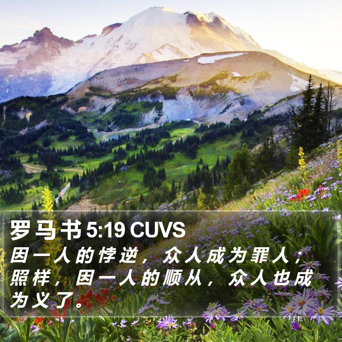 罗 马 书 5:19 CUVS Bible Study