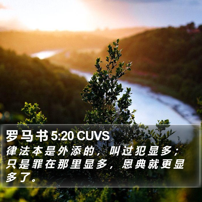 罗 马 书 5:20 CUVS Bible Study