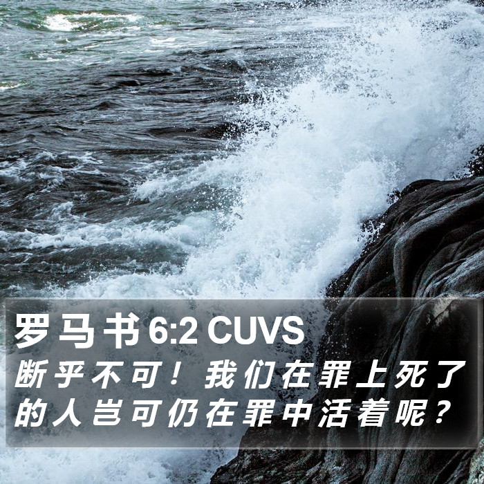 罗 马 书 6:2 CUVS Bible Study