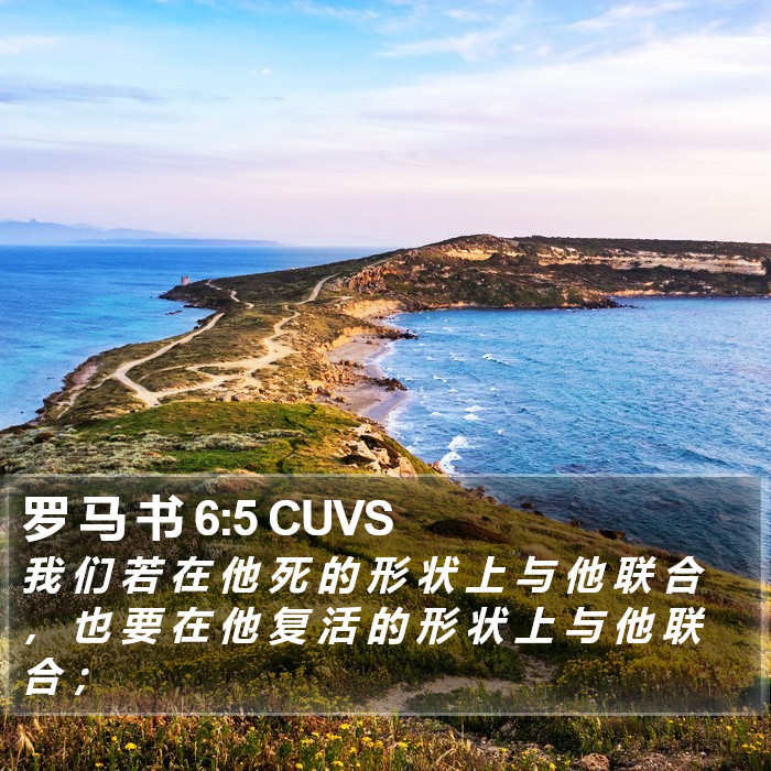 罗 马 书 6:5 CUVS Bible Study