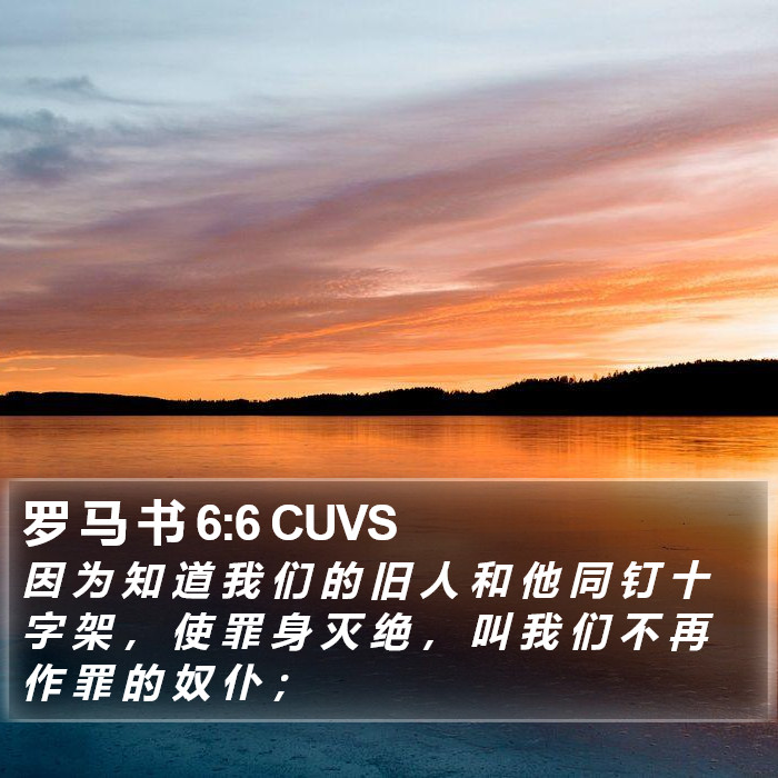 罗 马 书 6:6 CUVS Bible Study