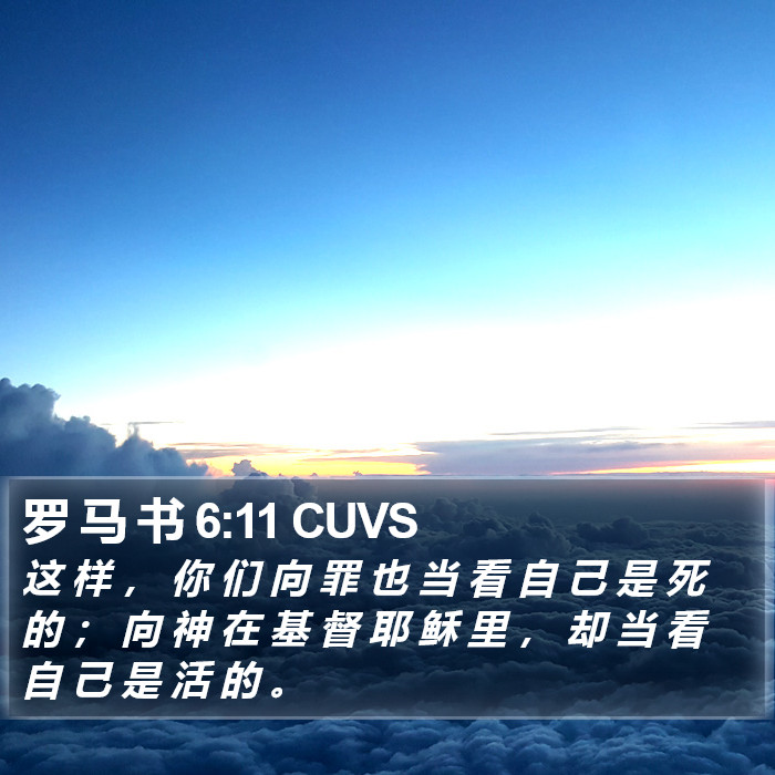 罗 马 书 6:11 CUVS Bible Study