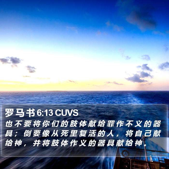 罗 马 书 6:13 CUVS Bible Study