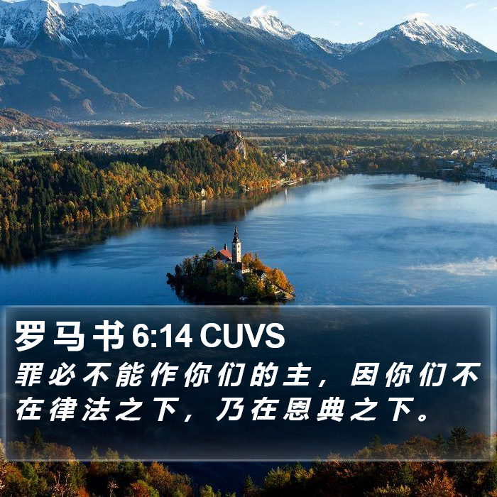 罗 马 书 6:14 CUVS Bible Study