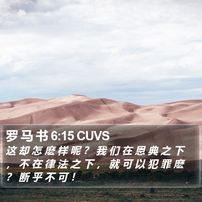 罗 马 书 6:15 CUVS Bible Study