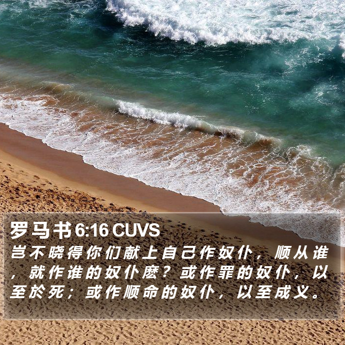 罗 马 书 6:16 CUVS Bible Study