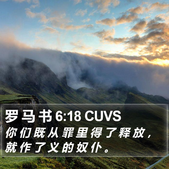 罗 马 书 6:18 CUVS Bible Study