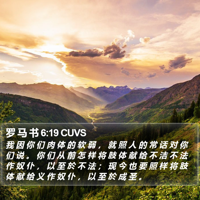 罗 马 书 6:19 CUVS Bible Study