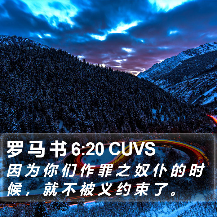 罗 马 书 6:20 CUVS Bible Study