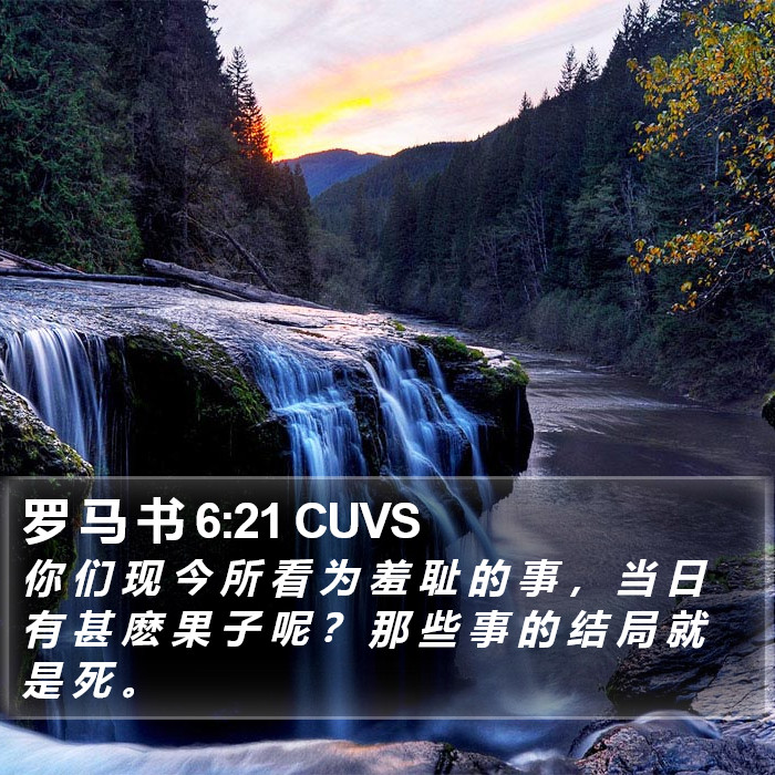 罗 马 书 6:21 CUVS Bible Study