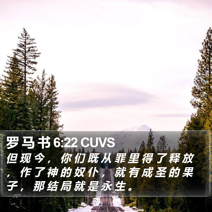 罗 马 书 6:22 CUVS Bible Study