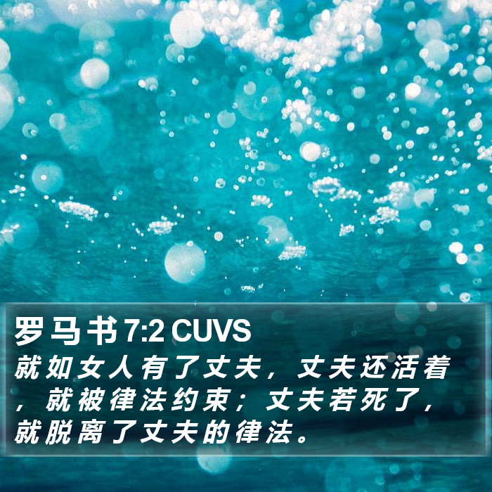 罗 马 书 7:2 CUVS Bible Study