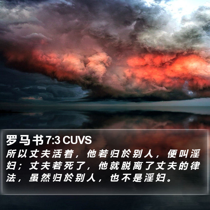 罗 马 书 7:3 CUVS Bible Study