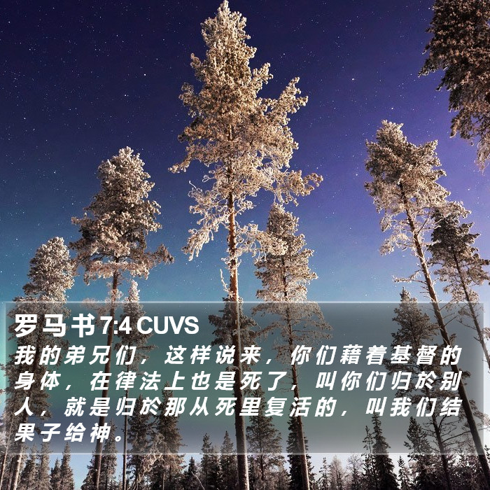 罗 马 书 7:4 CUVS Bible Study