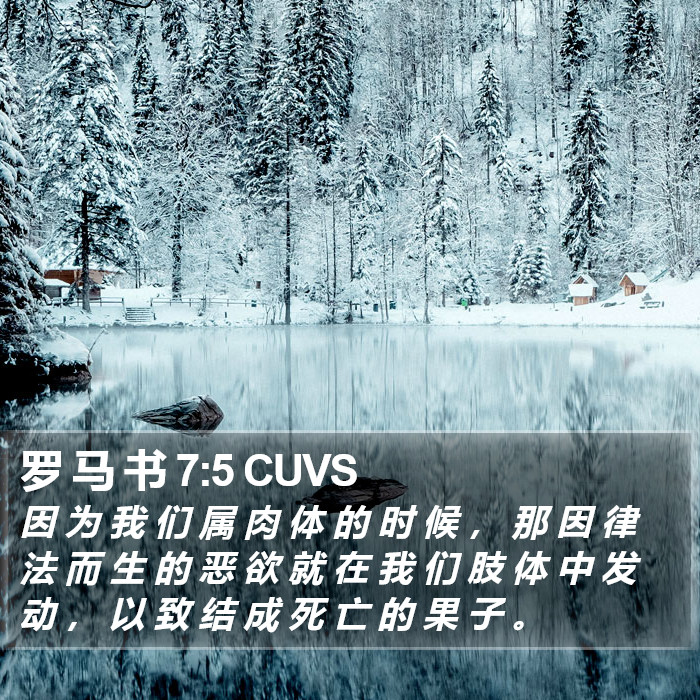 罗 马 书 7:5 CUVS Bible Study