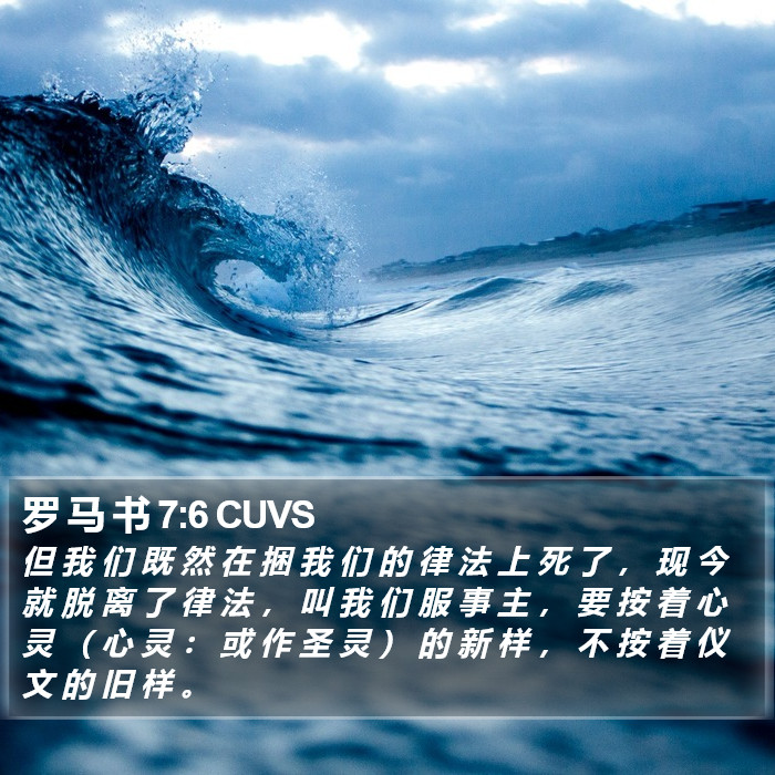 罗 马 书 7:6 CUVS Bible Study