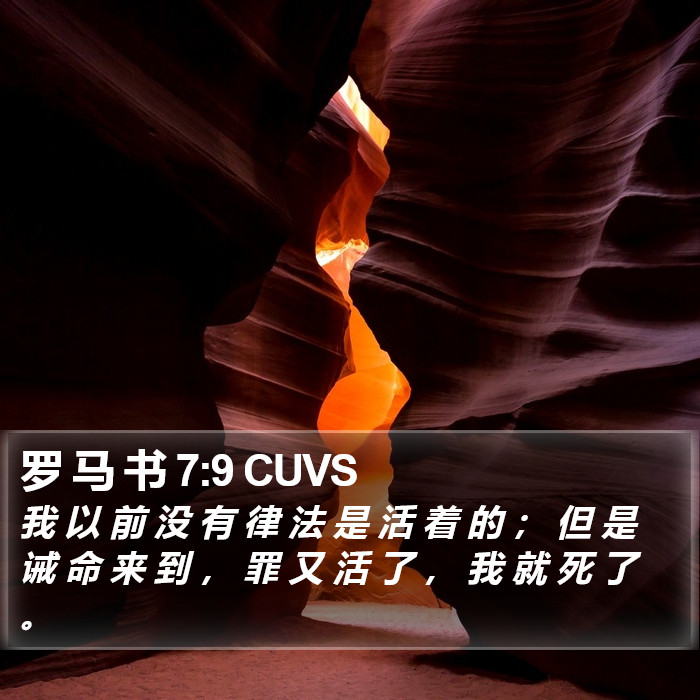 罗 马 书 7:9 CUVS Bible Study