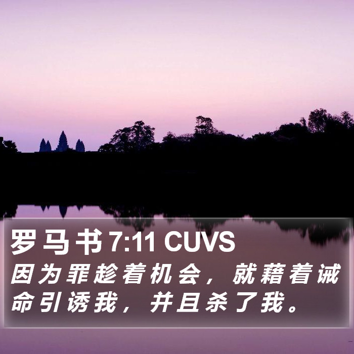 罗 马 书 7:11 CUVS Bible Study