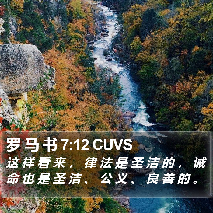 罗 马 书 7:12 CUVS Bible Study