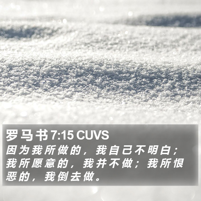 罗 马 书 7:15 CUVS Bible Study