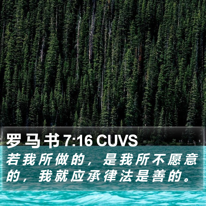 罗 马 书 7:16 CUVS Bible Study