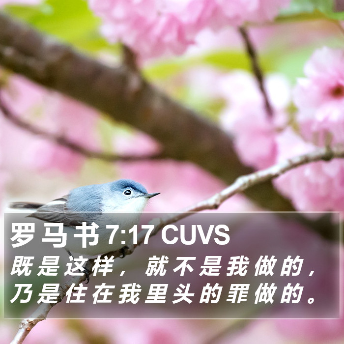 罗 马 书 7:17 CUVS Bible Study