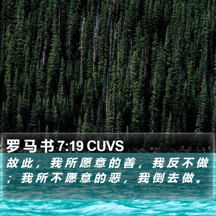 罗 马 书 7:19 CUVS Bible Study