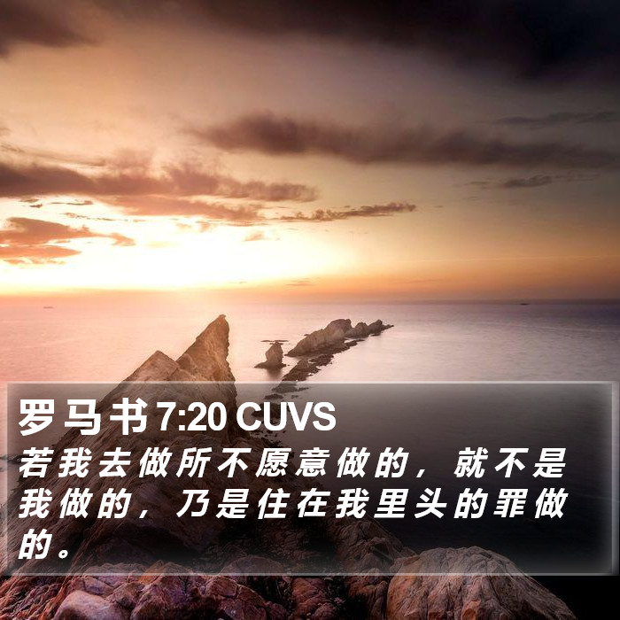 罗 马 书 7:20 CUVS Bible Study