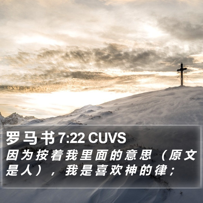 罗 马 书 7:22 CUVS Bible Study