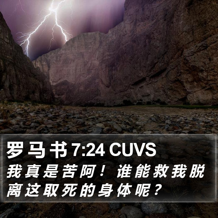 罗 马 书 7:24 CUVS Bible Study