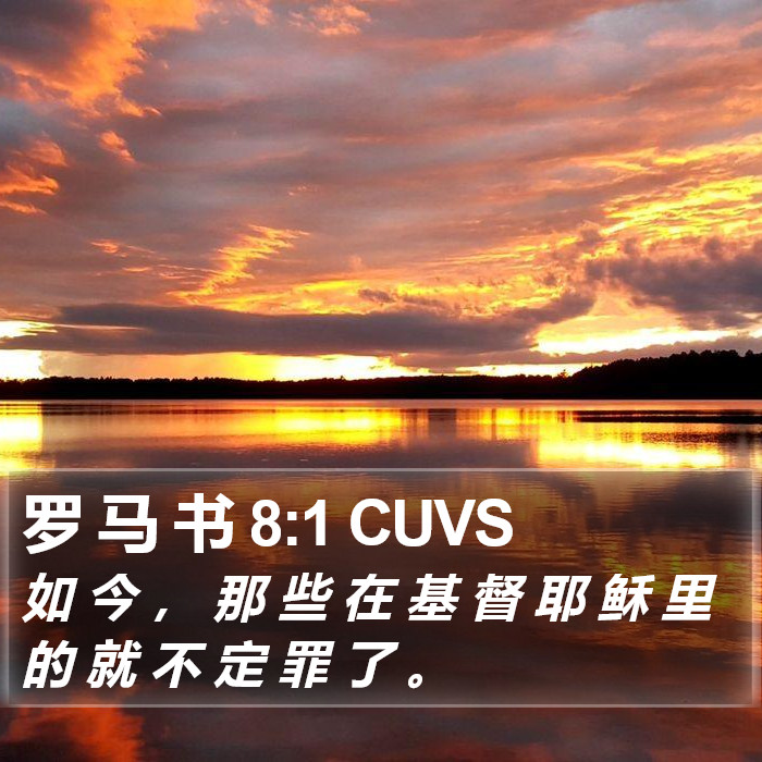 罗 马 书 8:1 CUVS Bible Study