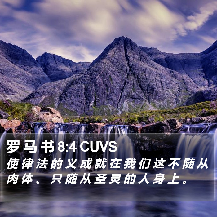 罗 马 书 8:4 CUVS Bible Study